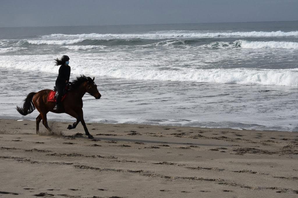 BIENVENIDOS A ESTE ESPACIO