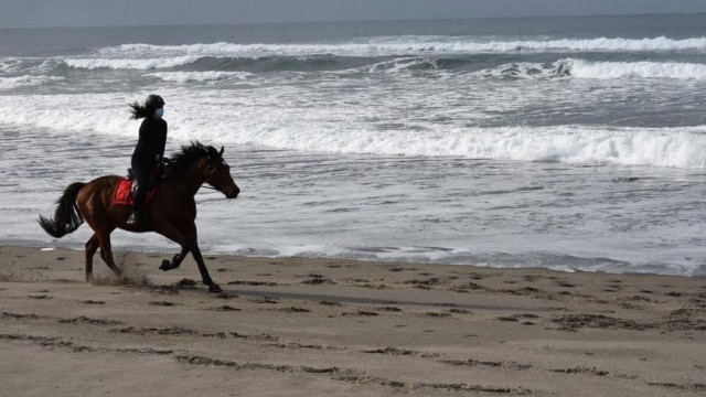 BIENVENIDOS A ESTE ESPACIO